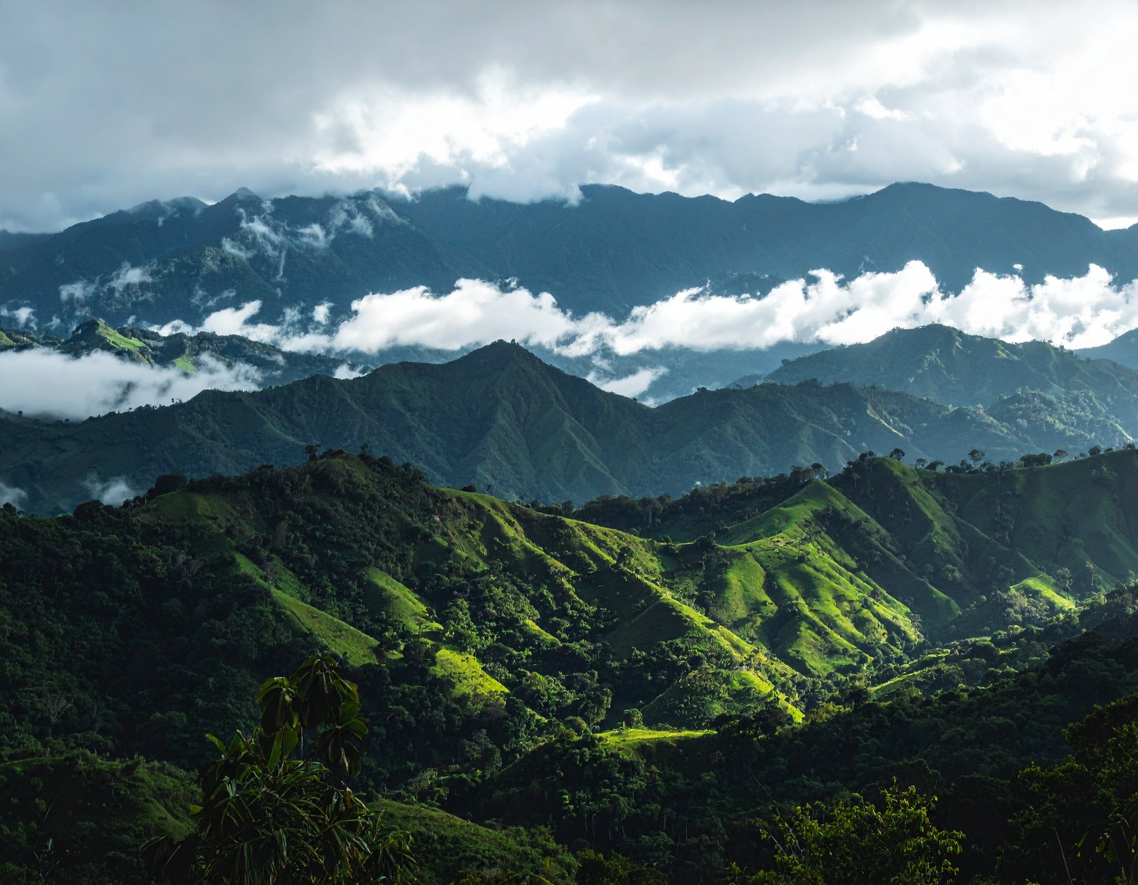 Scenic view of lush green mountains with clouds in the sky. Single Origin Club.