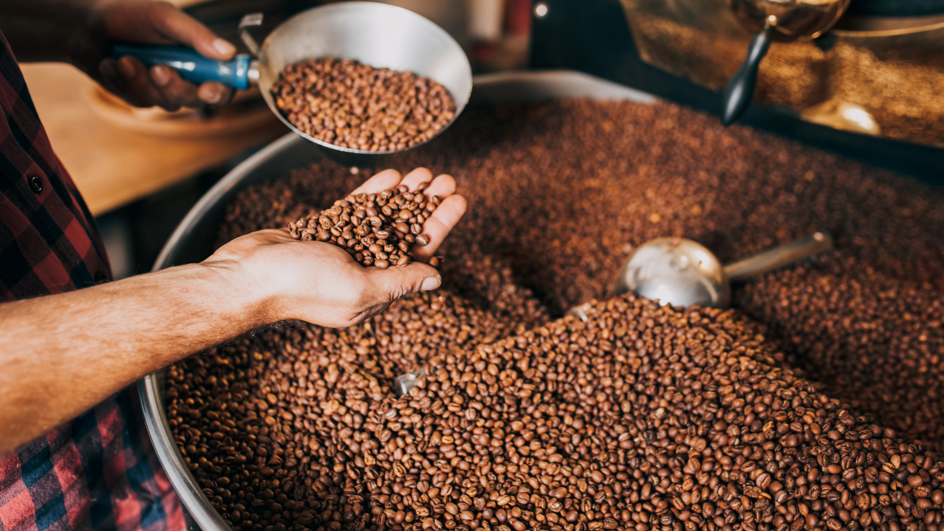 Person holding coffee beans over a large pile of coffee beans. Single Origin Club.